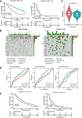 Uncovering N4-Acetylcytidine-Related mRNA Modification Pattern and Landscape of Stemness and Immunity in Hepatocellular Carcinoma